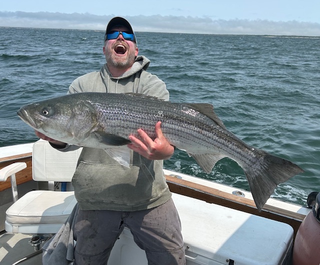 Striped Bass and Blue Fish