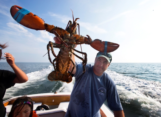 Sport Fishing Charters