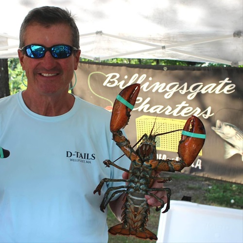 Lobster Fishing Wellfleet Cape Cod Lobster Fishing Wellfleet Cape Cod